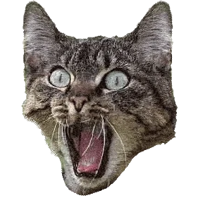 Super chat